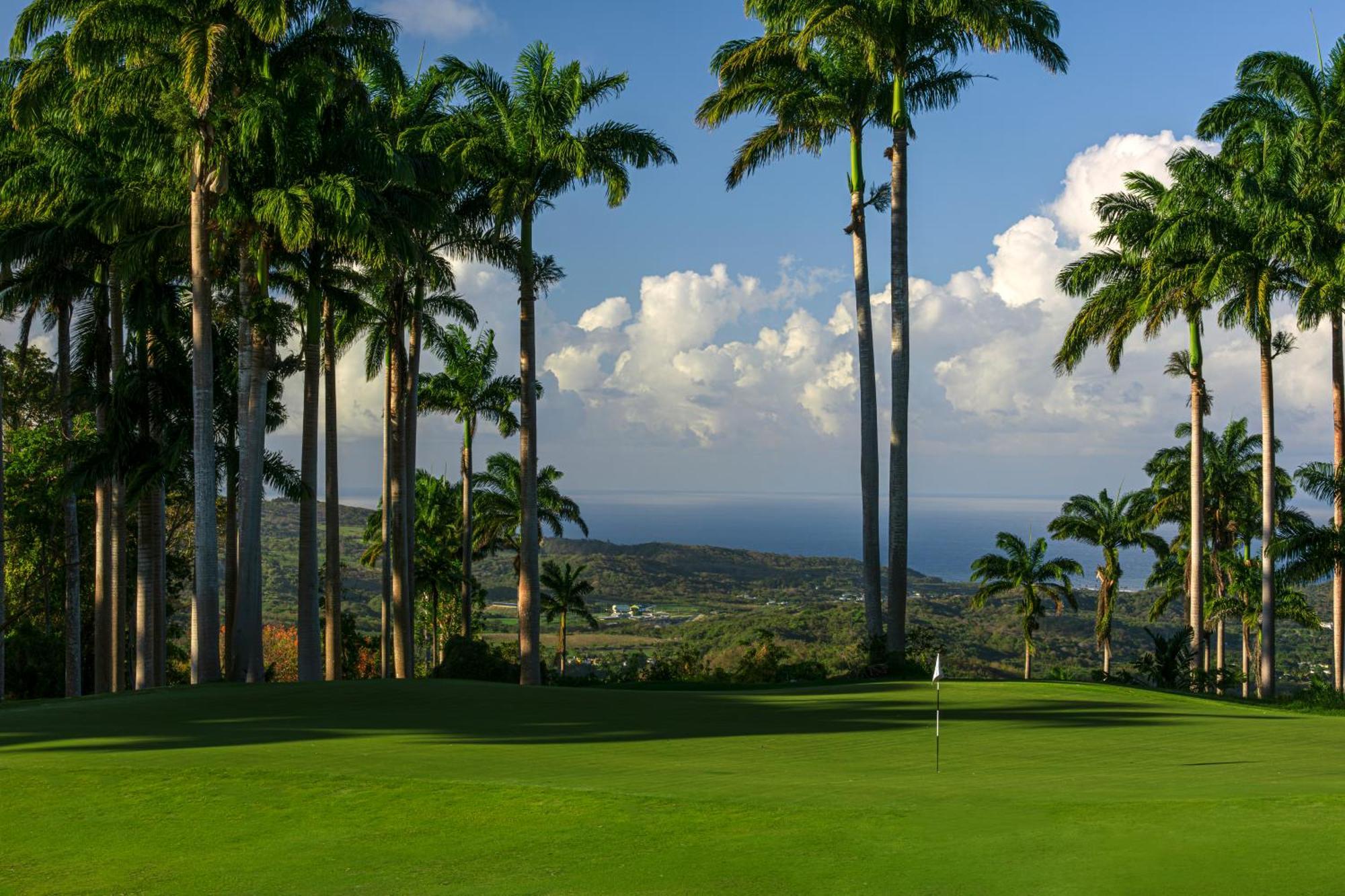 Apes Hill Barbados Golf And Resort Community セントジェームス エクステリア 写真